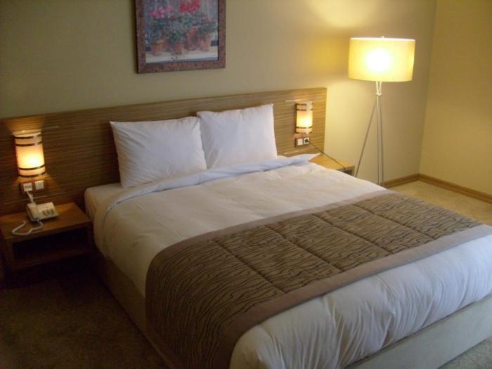 Hotel Almina Park Duzce Bilik gambar