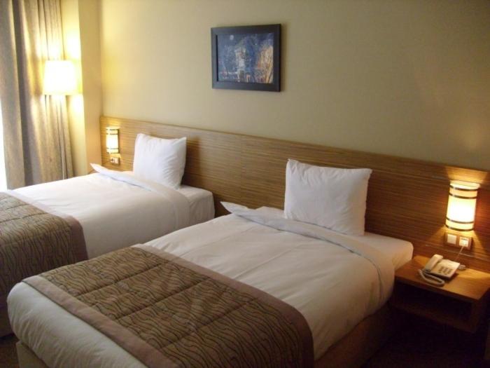 Hotel Almina Park Duzce Bilik gambar